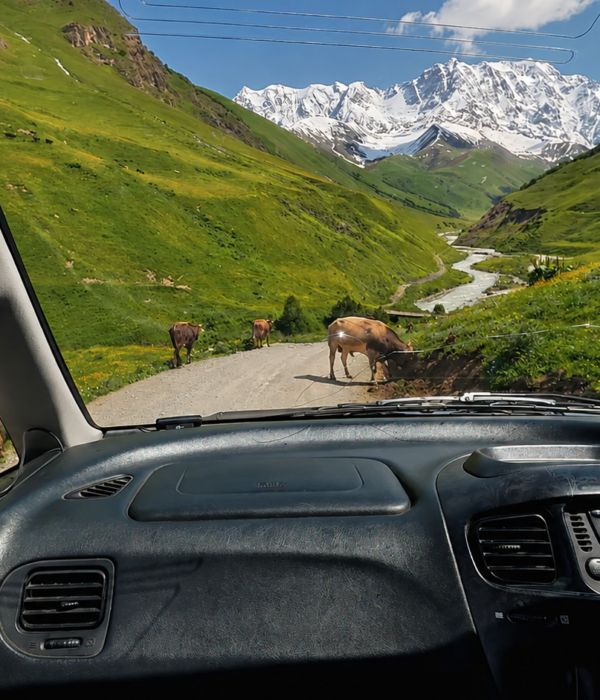 Georgia Trekking